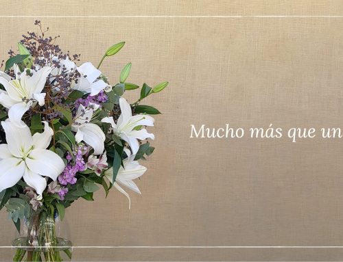 ¿Porque regalar un ramo de flores?