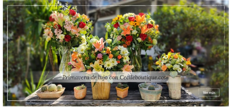 Primavera