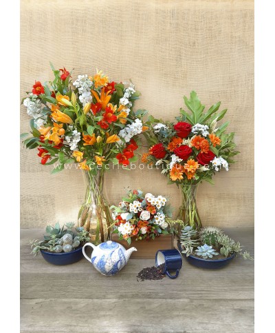 Amanecer de primavera|Conjunto premium