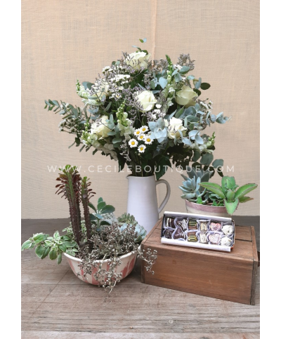 A mi querida madre | Ramo, suculentas y chocolate