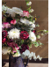 Blooming Season | Super Conjunto