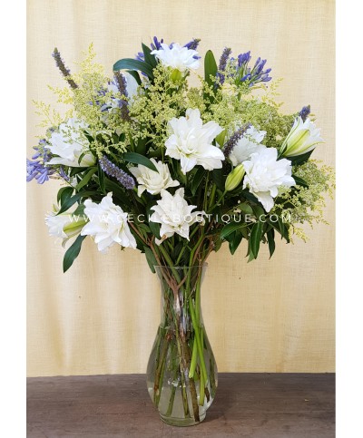 Aire Libre | Ramo Principal