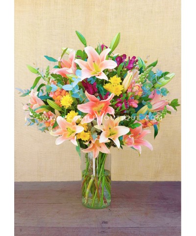 Caroline | Ramo Principal