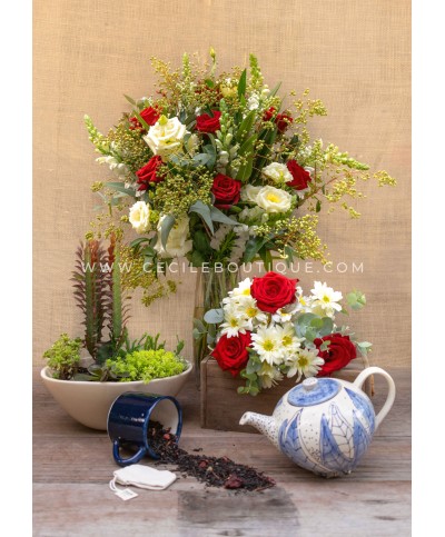 Un regalo especial | Ramos, suculenta y té