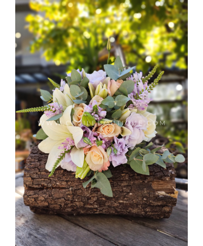 Latidos | Día de la Mujer