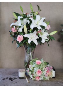 Para enamorarte otra vez | Conjunto medium