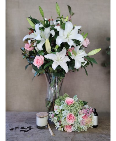 Para enamorarte otra vez | Conjunto medium