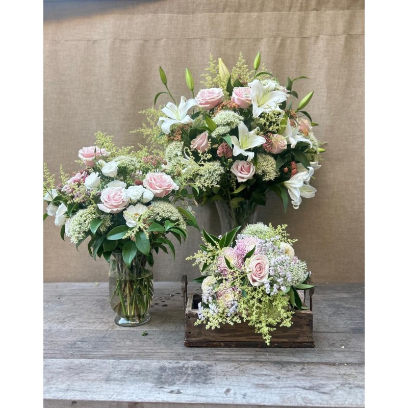 Bendiciones de Año Nuevo | Super conjunto