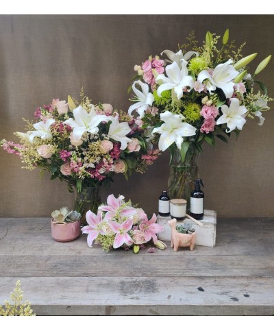 Brindis en Rosa | Super Conjunto