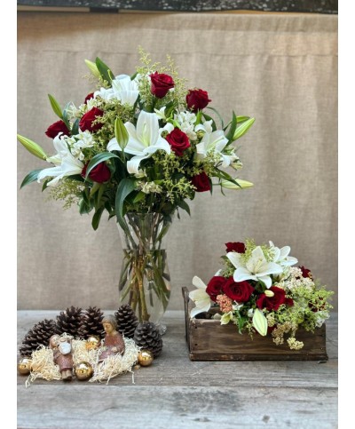 Que tu Navidad brille | Super conjunto