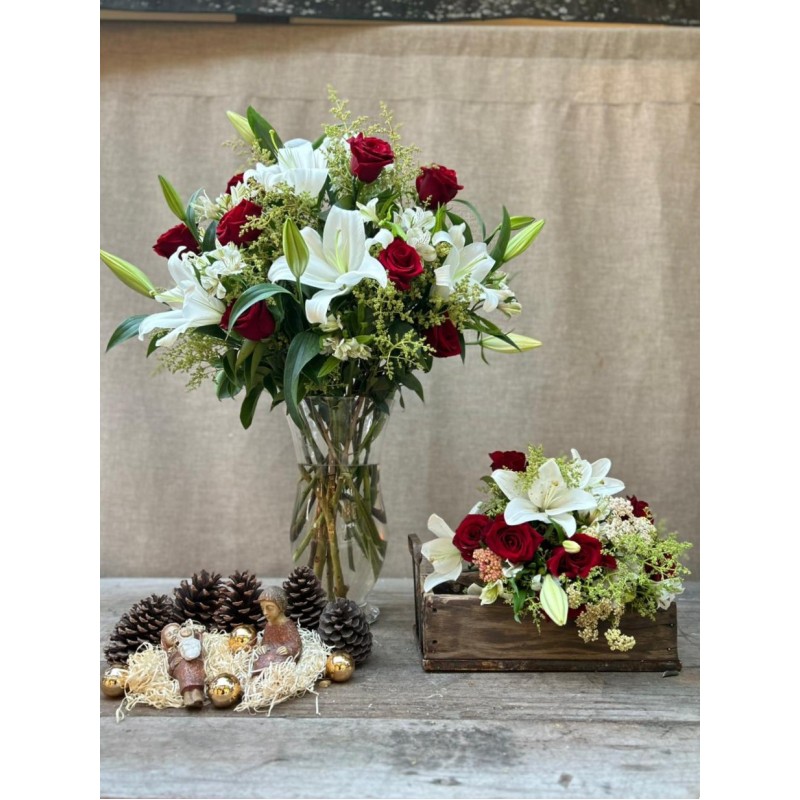 Que tu Navidad brille | Super conjunto