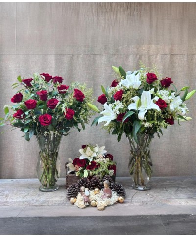 Que tu Navidad brille | Super Conjunto