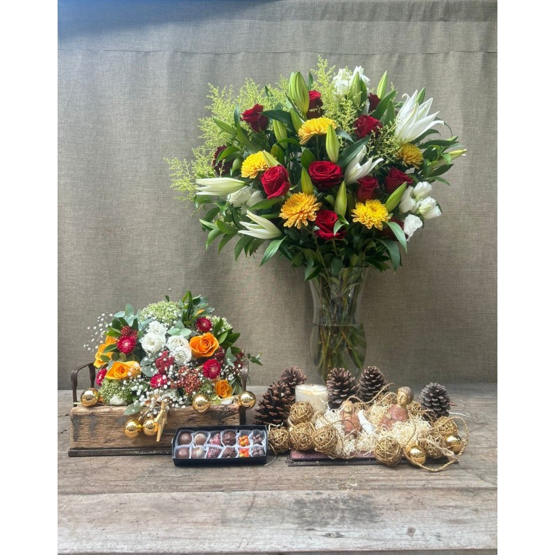 Sueño de Nochebuena | Conjunto medium