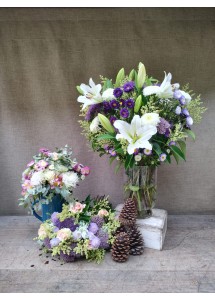 Encanto Navideño | Super conjunto