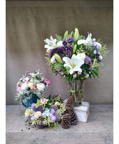 Encanto Navideño | Super conjunto