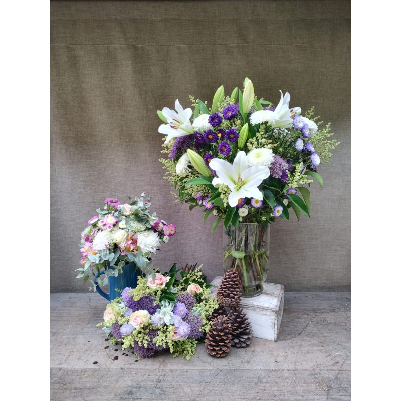 Encanto Navideño | Super conjunto