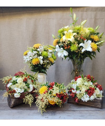 Magia de Navidad | Super Conjunto