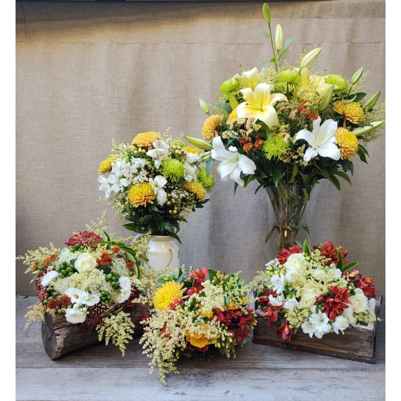 Magia de Navidad | Super Conjunto