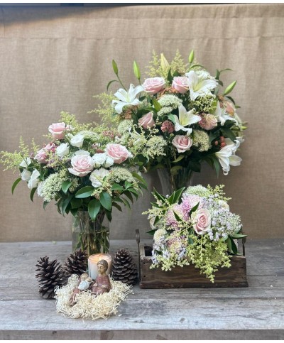 Noche de paz | Super Conjunto