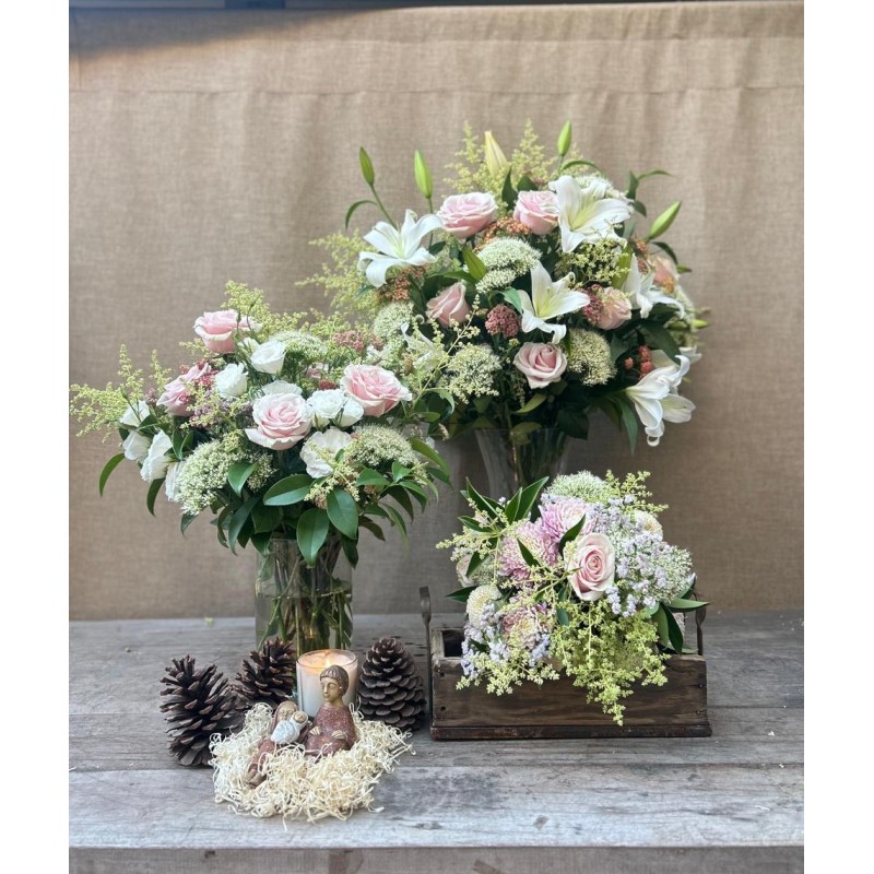 Noche de paz | Super Conjunto