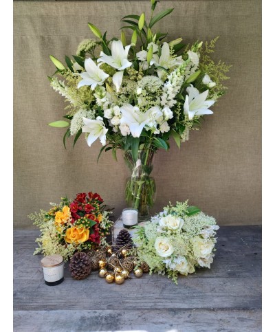 Refugio Navideño | Super Conjunto