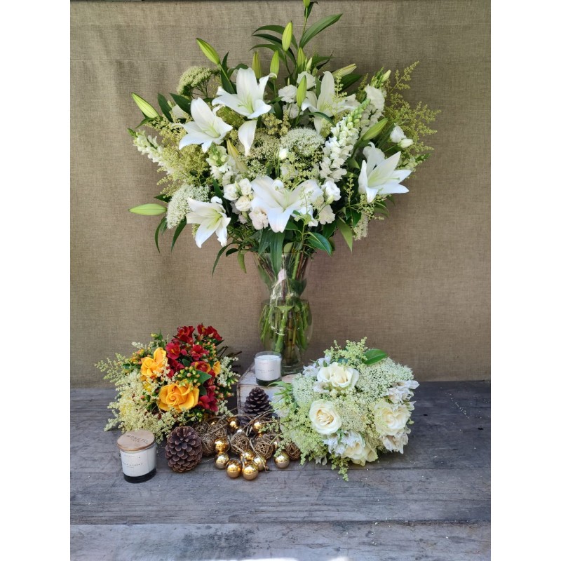 Refugio Navideño | Super Conjunto