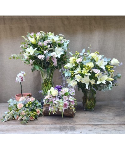 Natural | Super conjunto con orquídea