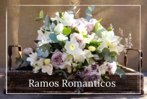 Ramos Romanticos