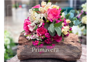 Primavera