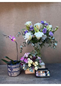 Tribuna en familia | Conjunto con orquídea
