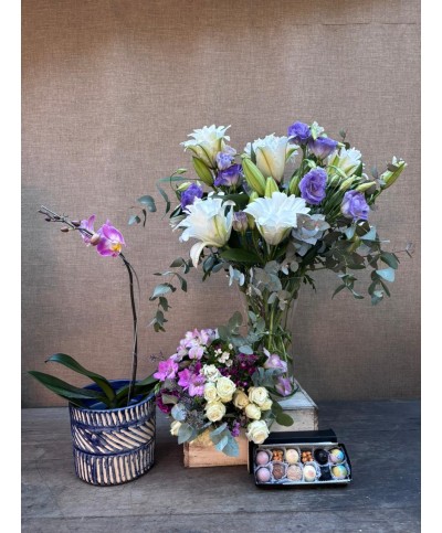 Family Tribune | Orchid Set