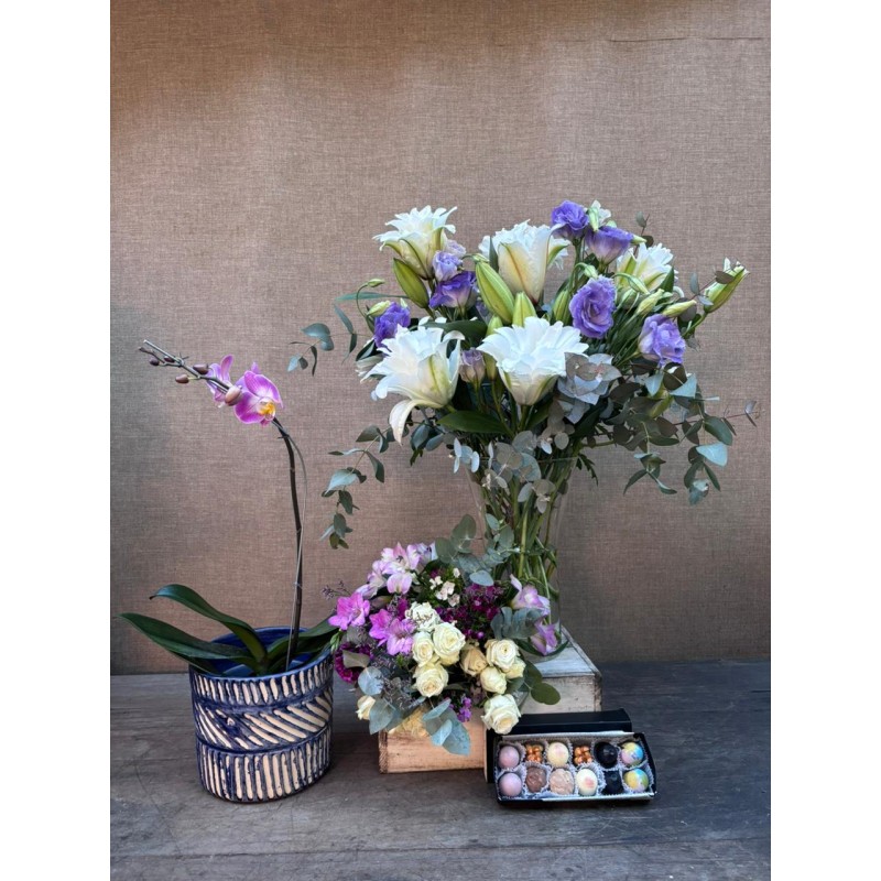 Family Tribune | Orchid Set