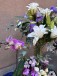 Family Tribune | Orchid Set
