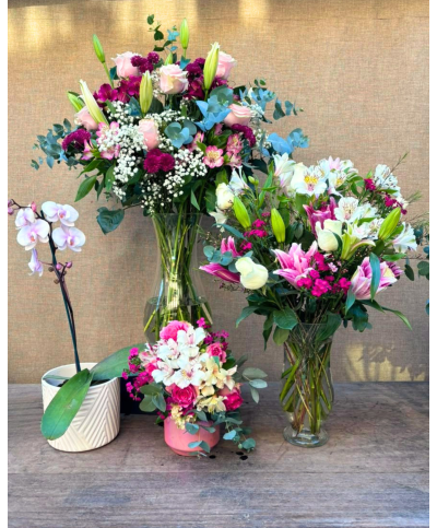 Spring Heartbeats | Ensemble & Orchid