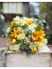Rayito de Sol | Bouquet