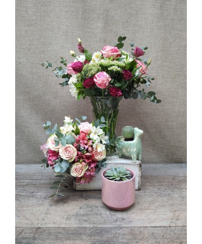 Asi, Porque Sí | Conjunto Medium