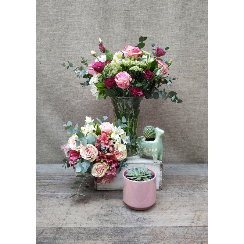 Asi, Porque Sí | Conjunto Medium