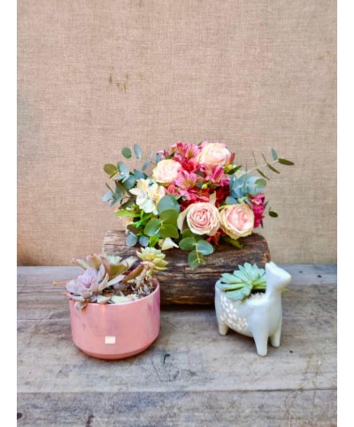 Asi, Porque Sí | Bouquet & Jardines