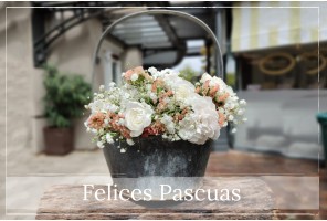 Pascuas