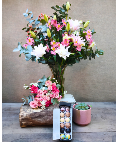 Invierno Para Dos | Conjunto Medium, Jardín & Chocolate