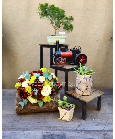 Mi Mejor Amigo | Bouquet, Jardines & Bonsai