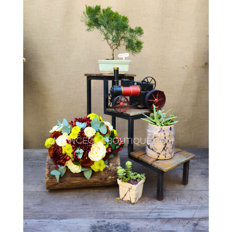 Mi Mejor Amigo | Bouquet, Jardines & Bonsai