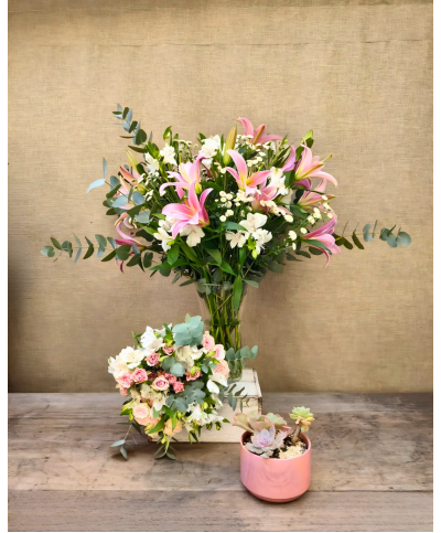 Te Lo Merecés | Conjunto Medium & Jardín