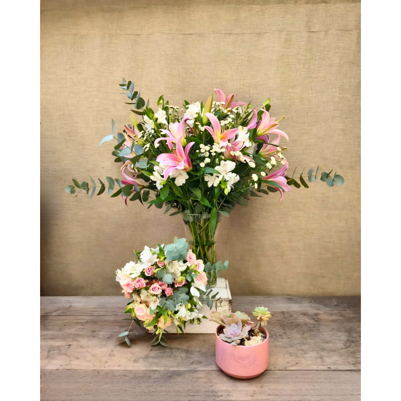 Te Lo Merecés | Conjunto Medium & Jardín