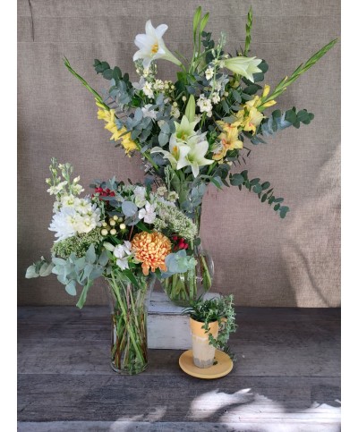 Reconocimiento | Conjunto Medium