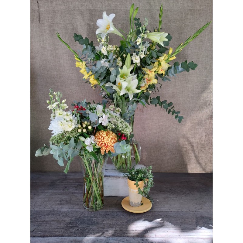 Reconocimiento | Conjunto Medium