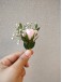 Clásico | Boutonniere
