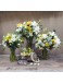 Wild Wedding | Bridal Set