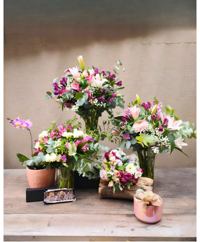 Celebra en Grande | Super Conjunto, Orquidea & Chocolates