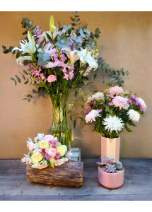 Escarcha Rosa | Conjunto Medium & Jardin